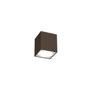 TRAIN OUTDOOR CEILING SURF 1.0 LED 3000K