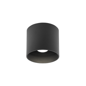 RAY OUTDOOR CEILING SURF 1.0 LED 2000-30