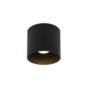 RAY OUTDOOR CEILING SURF 1.0 LED 2000-30