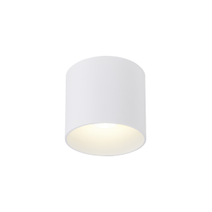 RAY OUTDOOR CEILING SURF 1.0 LED 2000-30