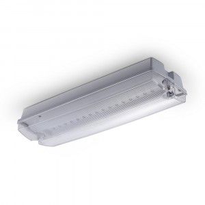 LED portiek-nood armatuur 3W 6500K