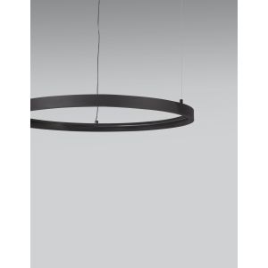 LOOP 02 Circular Magnetic Profile Sandy