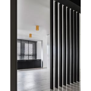 NIDO Gold Aluminium LED GU10 1x10 Watt I