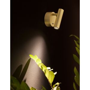 CLIP Satin Brass Aluminium LED Philips 3