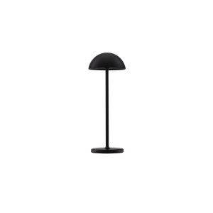 ROSE Black Aluminium & Acrylic LED 1 Wat