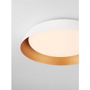 SOLVIA Sandy White & Gold Steel Shade (2