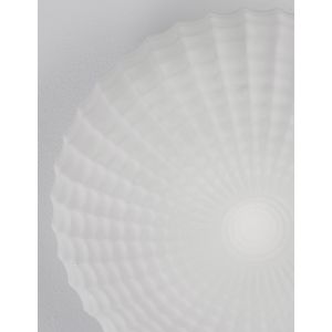 CLAM