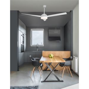 FLOW Matt White Steel & Glass Plywood Wh