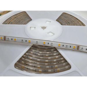 Led strip IP68 RGBW 19.2W per rol 5 mete